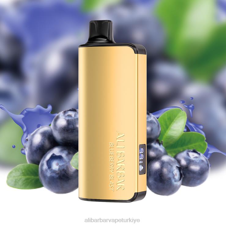 Alibarbar Vape Türkiye - Alibarbar Ingot 9000 tek kullanımlık elektronik sigara yaban mersini patlaması 60X8015