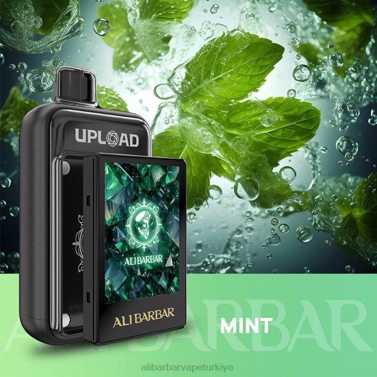 Alibarbar Vape Flavours - Alibarbar yüklemek nane 60X80117