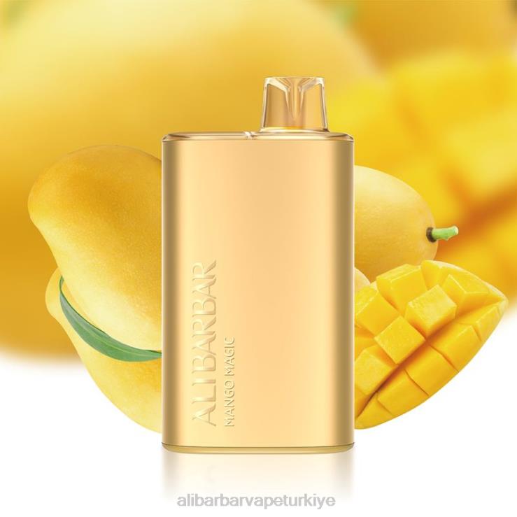 Alibarbar Price - Alibarbar Rich 8000 tek kullanımlık vape mango büyüsü 60X807